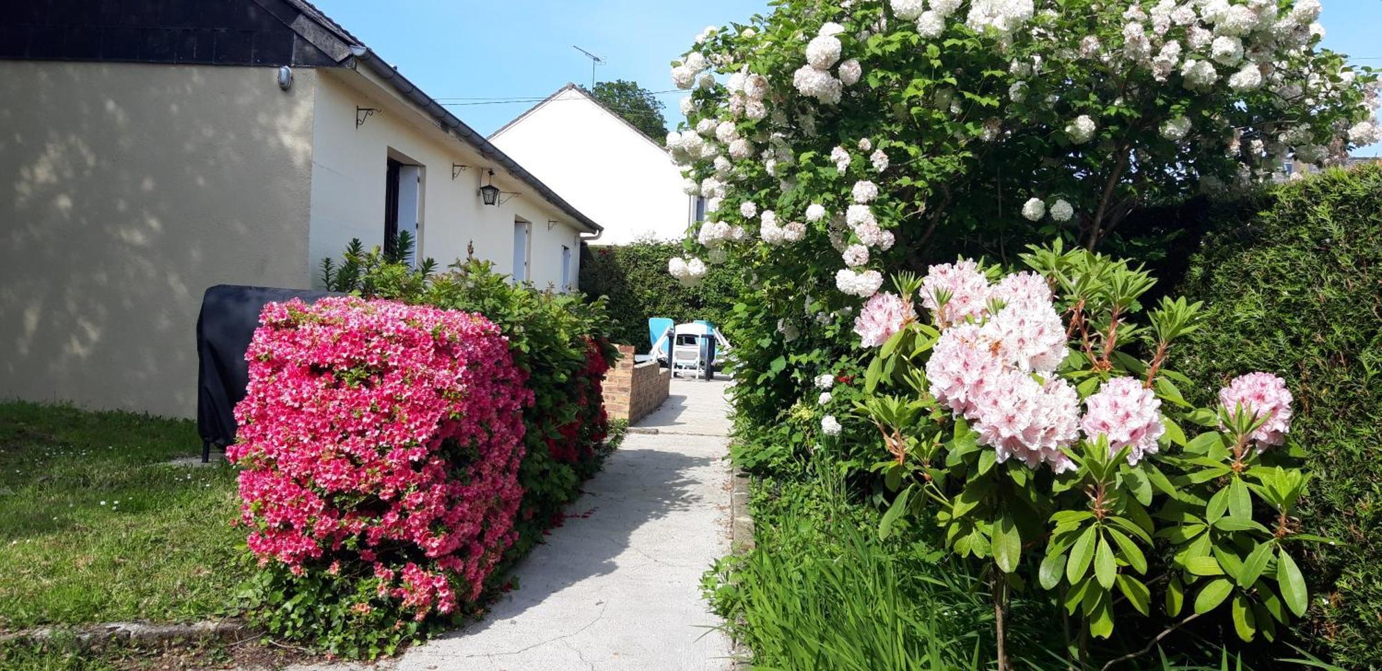 Maison Chaleureuse Avec Insert En Campagne Villa Saint-Mars-sur-la-Futaie Exteriör bild